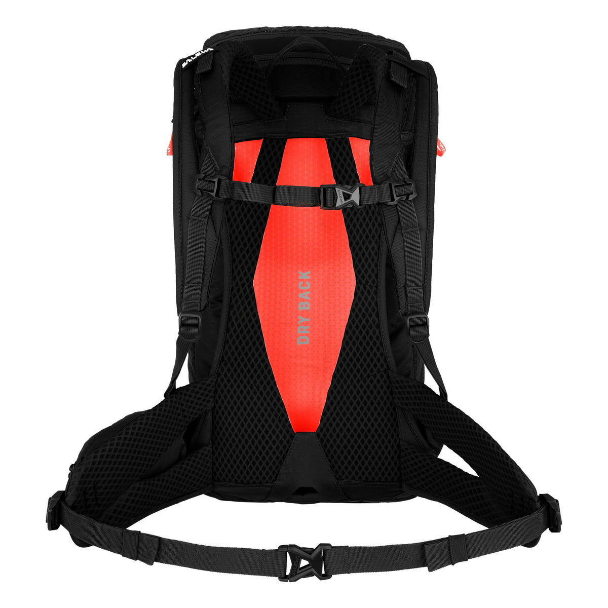 Salewa ženski nahrbtnik Alp Trainer 20 – pogled 2