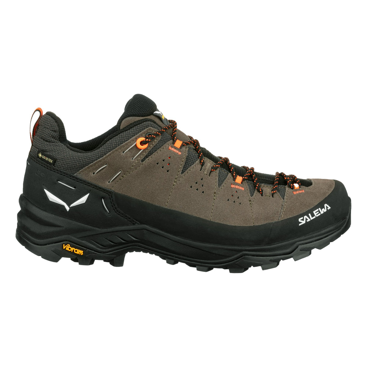 Salewa moški pohodni čevlji Alp Trainer 2 GTX – pogled 2